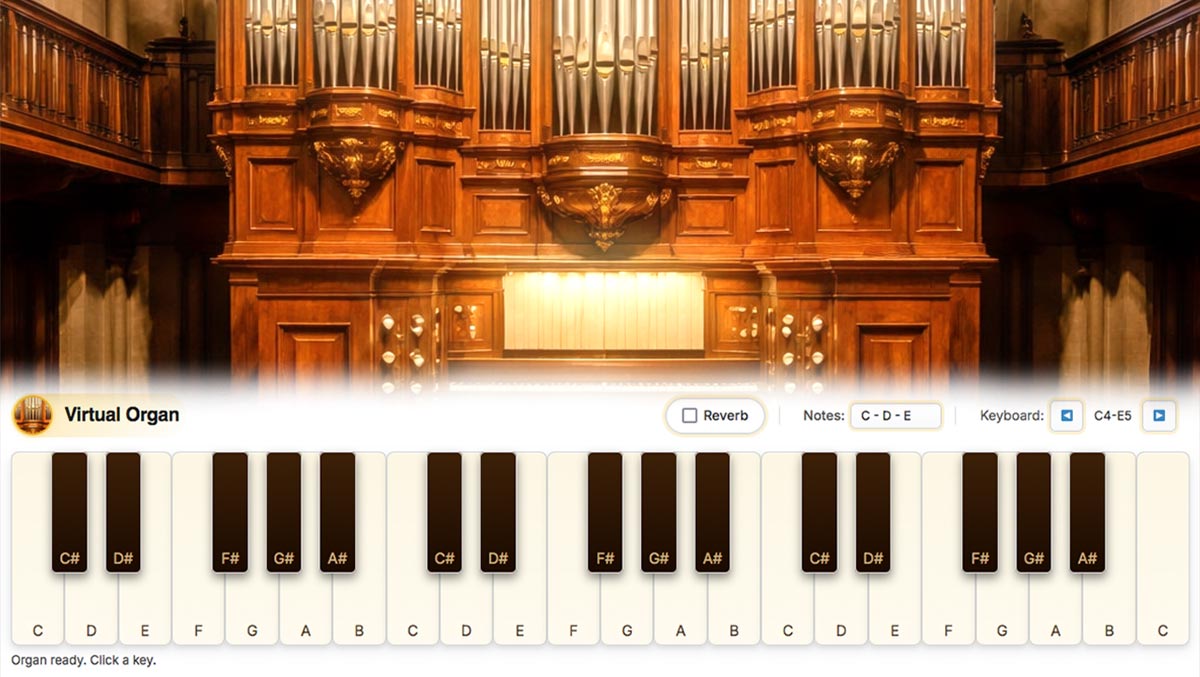 Virtual Organ